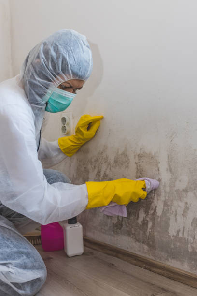 Best Air Quality Testing for Mold Spores  in East Point, GA