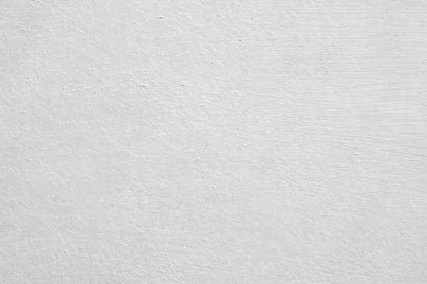 Best Mold Damage Restoration  in East Point, GA