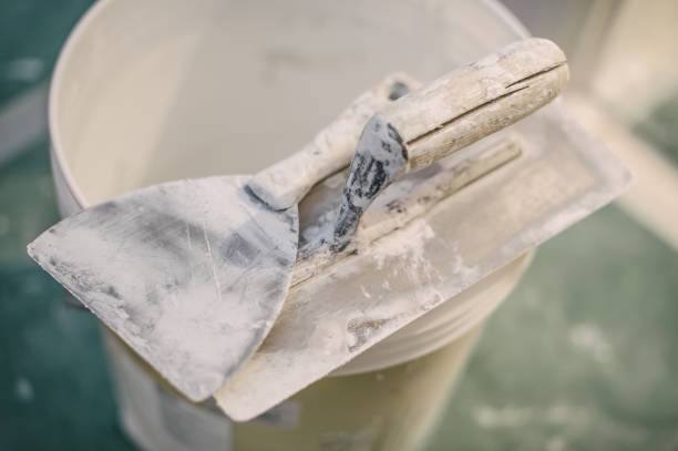 Best Mold-Related Health Consultation  in East Point, GA