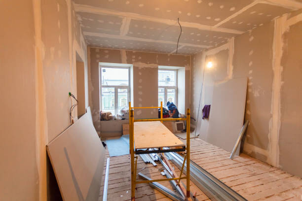 Best Basement Mold Removal  in East Point, GA