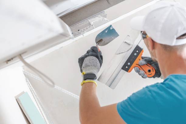 Best Black Mold Removal  in East Point, GA